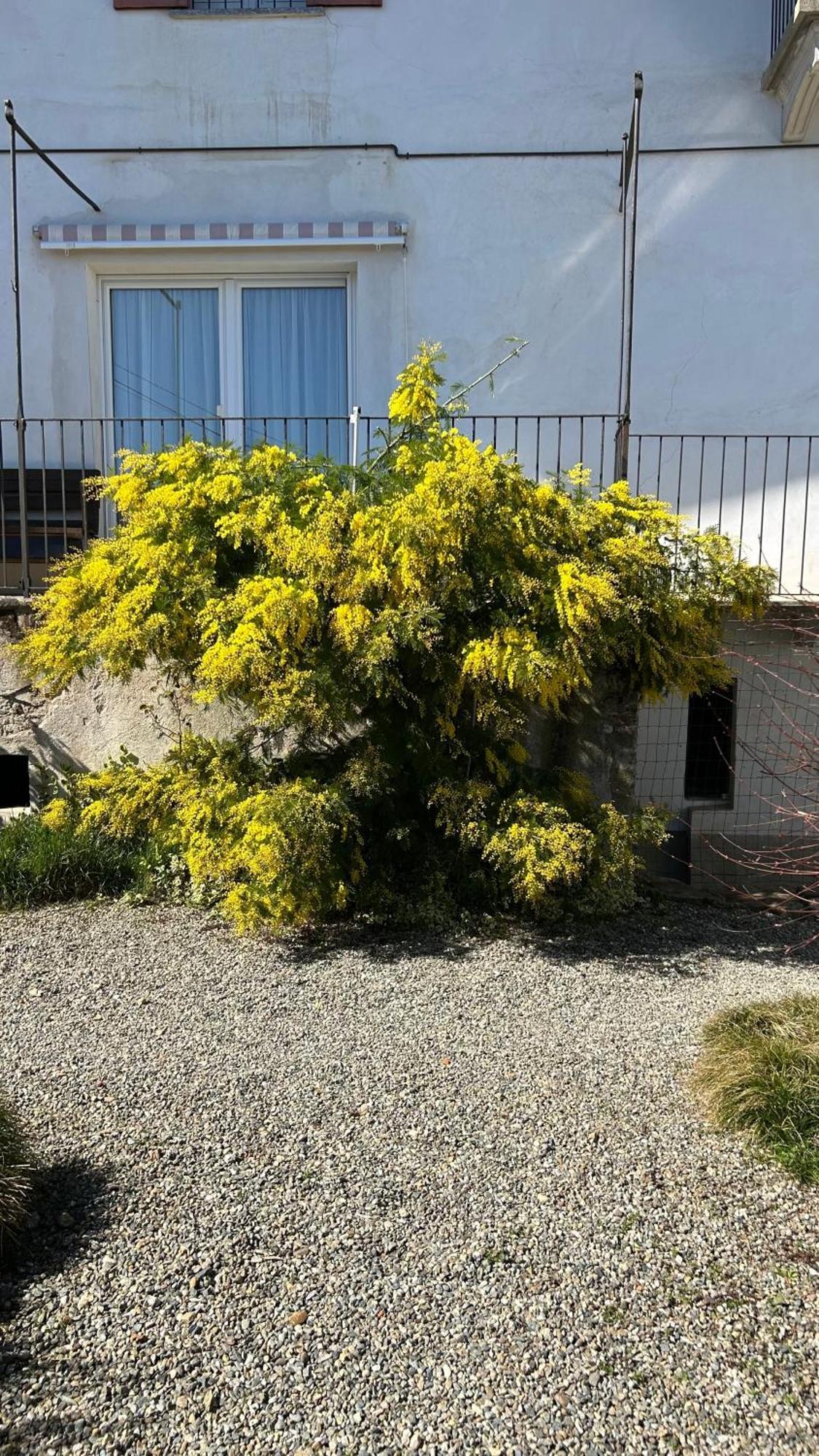 La Casa Di Pietro 호텔 Cerrione 외부 사진